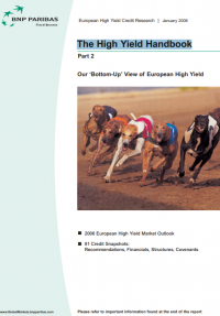Image of The High Yield Handbook